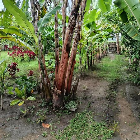 The Daun Puntik Homestay Pemenang Bagian luar foto