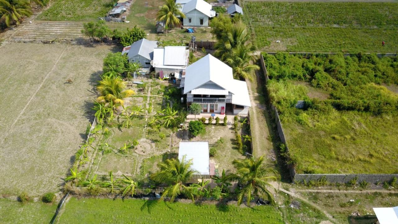 The Daun Puntik Homestay Pemenang Bagian luar foto