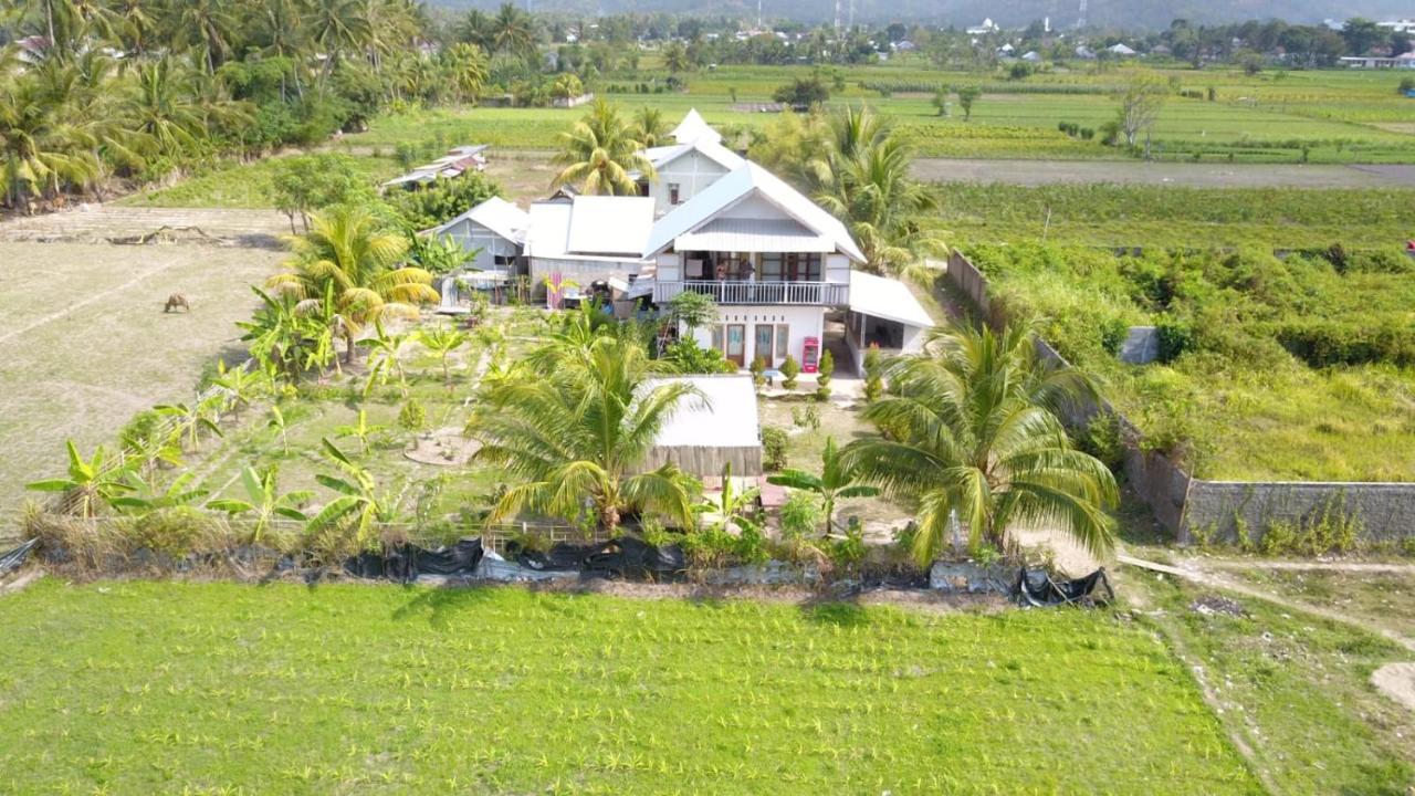 The Daun Puntik Homestay Pemenang Bagian luar foto