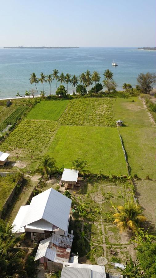 The Daun Puntik Homestay Pemenang Bagian luar foto