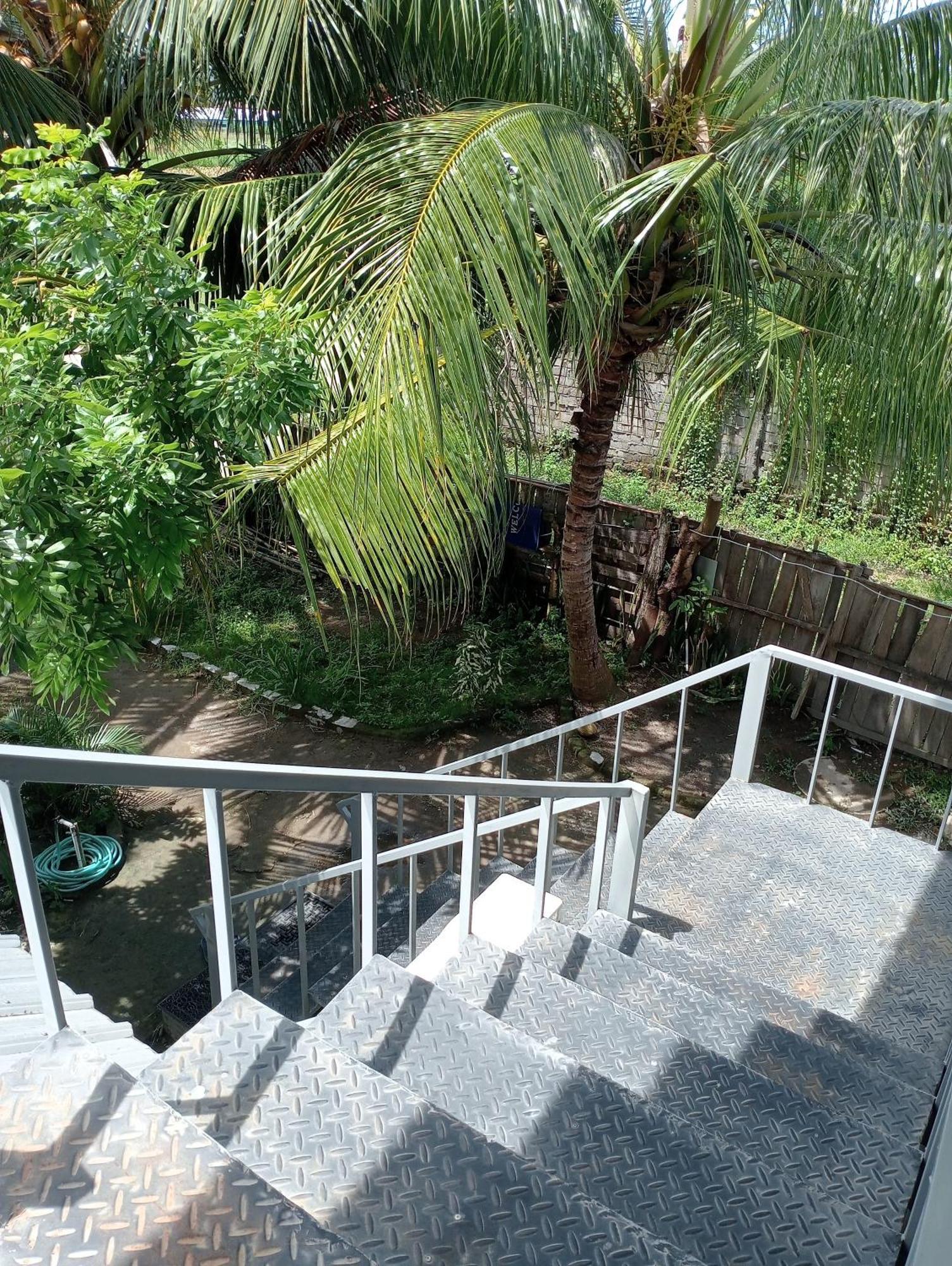 The Daun Puntik Homestay Pemenang Bagian luar foto