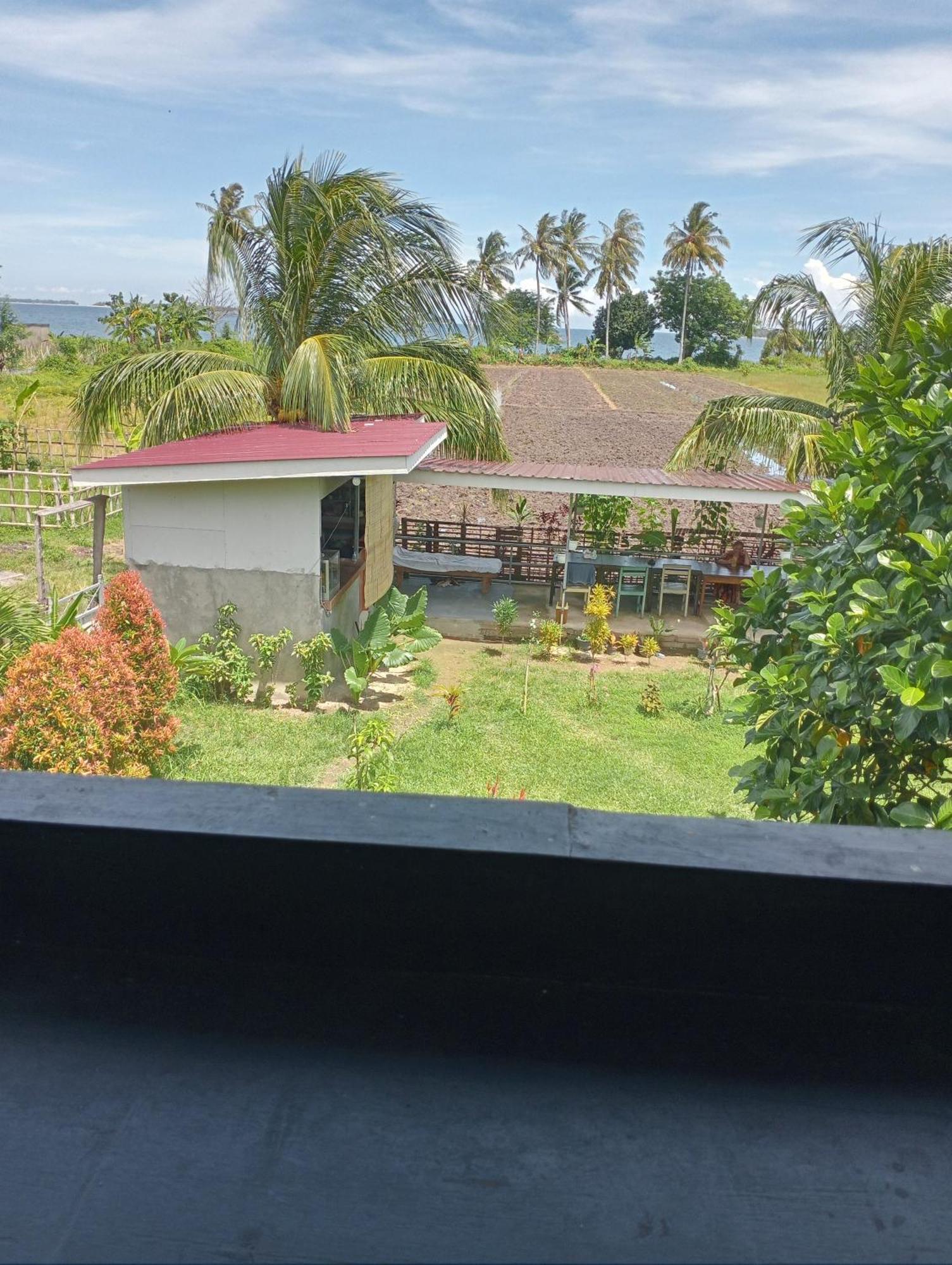 The Daun Puntik Homestay Pemenang Bagian luar foto