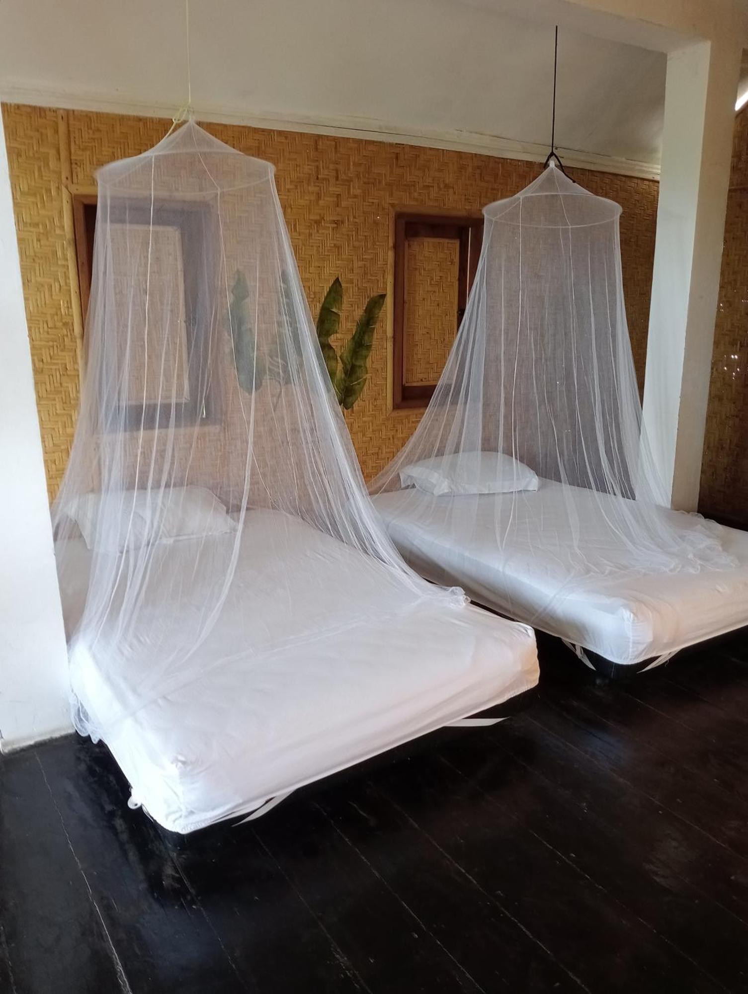 The Daun Puntik Homestay Pemenang Bagian luar foto